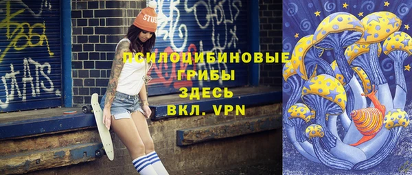ГАЛЛЮЦИНОГЕННЫЕ ГРИБЫ Балахна