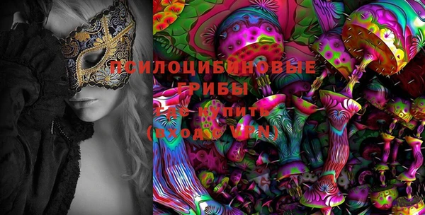 ГАЛЛЮЦИНОГЕННЫЕ ГРИБЫ Баксан