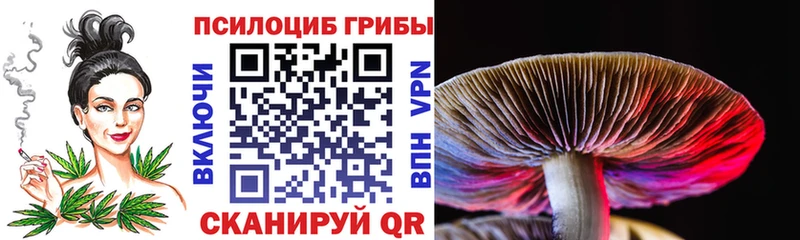 купить   Северо-Курильск  Псилоцибиновые грибы прущие грибы 