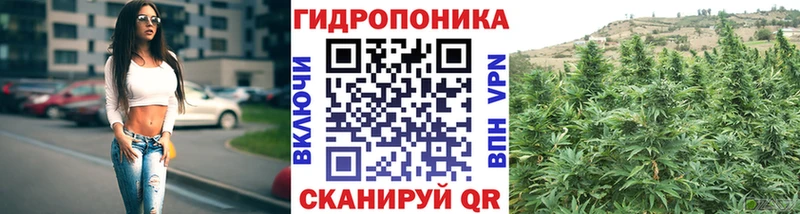 Конопля OG Kush  где найти   Северо-Курильск 